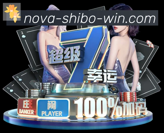 互动解说服务