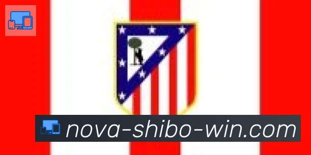 世博体育官网合作伙伴